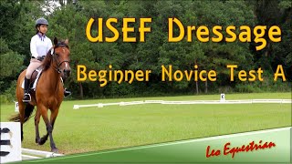 USEF Dressage  Beginner Novice Test A  Leo Equestrian [upl. by Chainey]