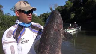 Kayser 2015 Fish Finder Suriname [upl. by Laryssa273]