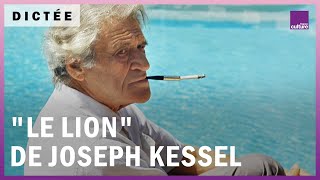 La Dictée géante  quotLe Lionquot de Joseph Kessel [upl. by Alejna]