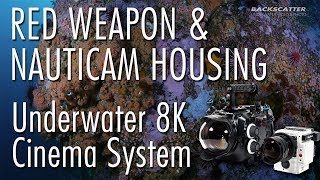 RED Weapon amp Nauticam Housing  Underwater 8K Cinema System Review [upl. by Dash]