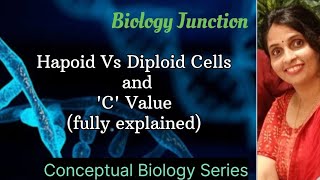 What is Haploid or Diploid Cells  C value l NEET  Boards [upl. by Anastasie]