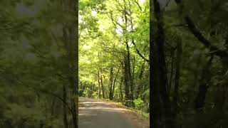 Route de Corrèze france nature limousin shortsyoutube automobile [upl. by Jollanta]