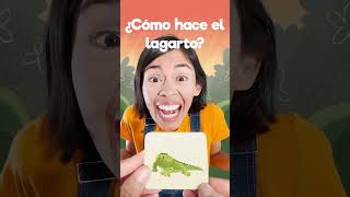 🦎 menique leon lagarto lobo videosgraciosos 123andres alfabeto aprendeespañol education [upl. by Hsivat]