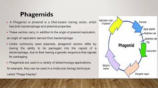 Cloning Vehicles  Cloning Vectors explanation in simple way [upl. by Sakovich180]