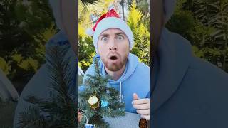 whose CHRISTMAS TREE is the TALLEST 😳🎄🤣shorts youtubeshorts MartaAndRustam [upl. by Eimarej519]