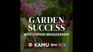 Garden Success – 7252024 QampA With Stephen Brueggerhoff [upl. by Bushweller]