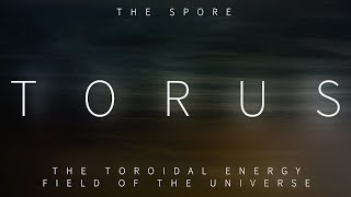 Torus The Toroidal Energy Field of the Universe The Spore [upl. by Ellenahc296]