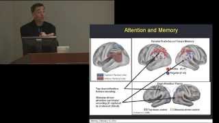 Anthony Wagner presents Intro to Science of Memory Vanderbilt Judicial Colloquium Feb 2014 [upl. by Brandes]