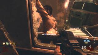 Black Ops 2 Zombies Tranzit wRandoms amp Syndicate Part 15 [upl. by Giffy]