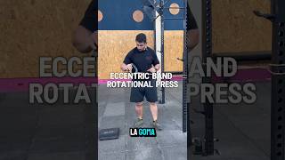 tendinitis tendinite mobilitytraining entrenamientodefuerza entrenamientoonline shoulderpain [upl. by Drarreg]