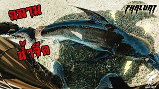 ฟ้าลั่นมือปราบปลาเขี้ยว  Chao phraya Giant Catfish ENG SUB [upl. by Delinda]