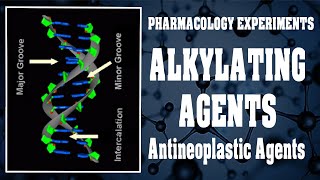 Role Of Alkylating Agents In Treatment Of Cancer  Medicinal Chemistry  Msc Fourth Sem Chemistry [upl. by Rodina]