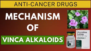 Mechanism of Action of Vincristine Vinblastine and Vinorelbine [upl. by Jenei]