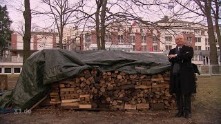 Realer Irrsinn Baugenehmigung für Holzstapel  extra 3  NDR [upl. by Ganny374]