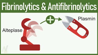 Fibrinolytics amp Antifibrinolytics Pharmacology [upl. by Aneek]