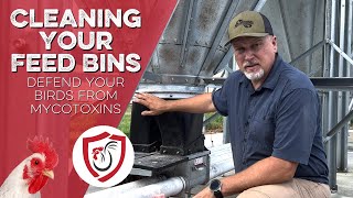 Cleaning Your Feed Bins  Protect Your Poultry Farm from Mycotoxins [upl. by Boniface]