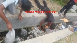 Caught Fish in Dhaka Drain দেখুন ঢাকার ডিজিটাল মাছ ধরা বরশি ছাড়া হাত দিয়ে [upl. by Ishmael]