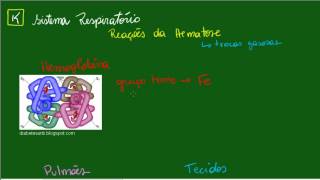 Sistema Respiratório  Reações da Hematose  Aula 1 [upl. by Mott587]