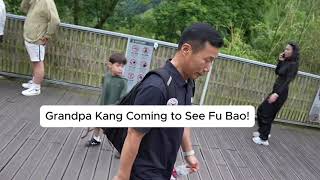 74 Grandpa Kang Coming to See Fu Bao panda fubao 푸바오 福宝 grandpakang viral fyp [upl. by Schober916]