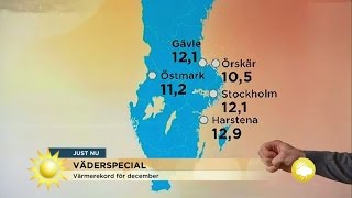 Väderspecial – om värmerekord  Nyhetsmorgon TV4 [upl. by Elicul]