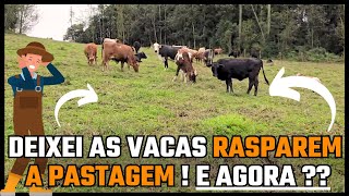 DEIXEI AS VACAS RASPAREM A PASTAGEM E AGORA [upl. by Leyla534]