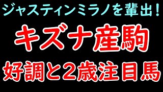 キズナ産駒 3歳世代の好調と2歳注目馬 ジャスティンミラノ＆クイーンズウォークを輩出！ディープインパクトの後継最有力か！【POG2425】 [upl. by Nnyleahs958]