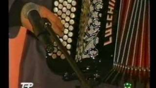 Accordion Bandoneon Bandonion Concertina [upl. by Yesiad598]