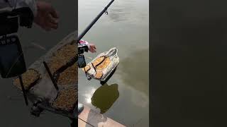 Bro，be generous when fishing fishing carpfishing boatman baitboat bassfishing bait boat [upl. by Gone]