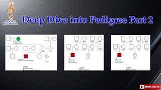 Deep Dive into Pedigree Part 2 [upl. by Enirehtakyram]