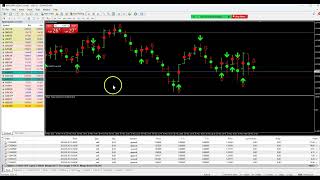 zoom lot size risk update [upl. by Yemiaj]