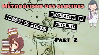 Métabolisme des glucides devenir du pyruvat régulation de glycolyse part 2 [upl. by Beker]