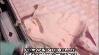 PorkSkinPatchBellieswmv [upl. by Aikemot]