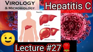 hepatitis c hepatitis c symptoms hepatitis class 11 hepatitis c in urdu virology microbiology [upl. by Woo]