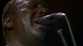 Albert King [upl. by Anelys]