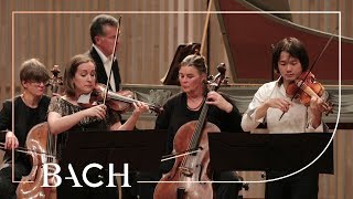 Bach  Concerto for two violins in D minor BWV 1043  Sato and Deans  Netherlands Bach Society [upl. by Yeslek]