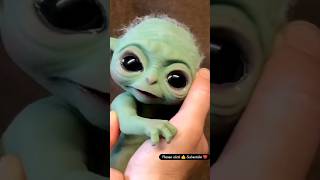 Baby yoda in real life mandalorian grogu babyyoda shorts [upl. by Sipple]