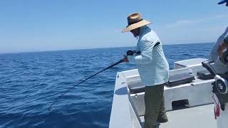 Tom Hryniuk 2 Cedros Island July 2024 [upl. by Eniamrehs]