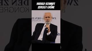 Harald Schmidt in Bestform 😂 haraldschmidt grüne afd ampel [upl. by Hnoj361]