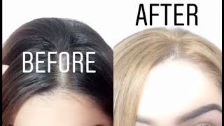 LOreal LB01 Ultra Light Ash Blonde  Root Touch Up [upl. by Enened]