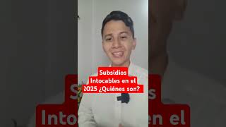 Subsidios Intocables en el 2025 ¿Quiénes son Presupuesto para Transferencias Monetarias [upl. by Adnolahs977]