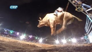 Rodeio de Palmital 2017  KENY ROGER X REI DA SAFRA [upl. by Atrim]