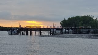 সুন্দরবন  বিশ্বের বৃহত্তম ম্যানগ্রোভ বন Sundarbans  The Worlds Largest Mangrove Forest [upl. by Sajet]