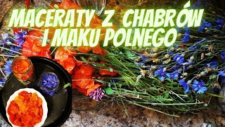 Maceraty z kwiatów Maku Polnego i Chabra Bławatka  do produkcji serum i kremu [upl. by Foah]