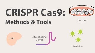 2 CRISPR Cas9  Methods and Tools [upl. by Breed]