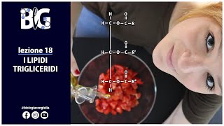 I LIPIDI  i trigliceridi [upl. by Salhcin]