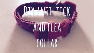 DIY anti tick and flea dog collar [upl. by Brenner]