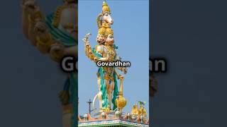 Govardhan parvat bhakti youtubeshorts hindudeity [upl. by Danialah]