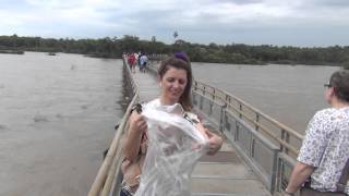 CATARATAS DO IGUAÇU  quotGARGANTA DEL DIABLOquot Argentina [upl. by Gavrila]