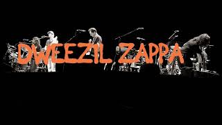 Dweezil Zappa apostrophe  Toyota Oakdale theater 08282024 [upl. by Atirehgram]