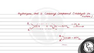 Which of the following compounds is a hydrazone i ii iii iv A i B ii C iii D iv [upl. by Htebasil]